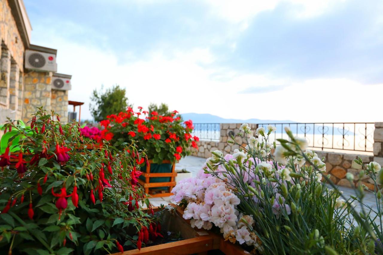 Vila Dena Vlorë Esterno foto