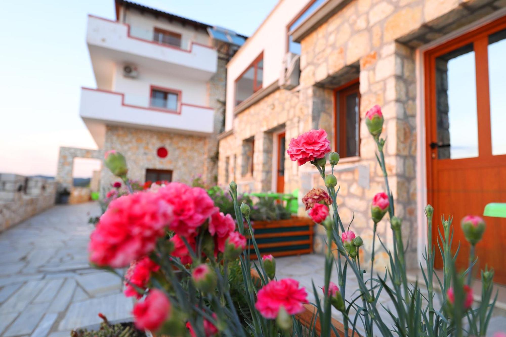 Vila Dena Vlorë Esterno foto
